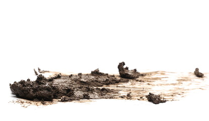 Mud pile isolated on white background, top view