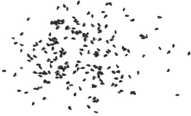 Black cumin, caraway seeds isolated on white background, top view