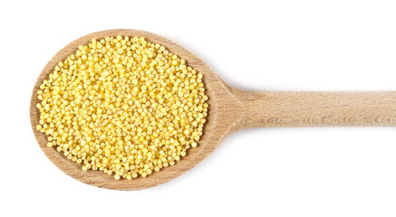 Peeled yellow millet seeds in wooden spoon, organic food product isolated on white background