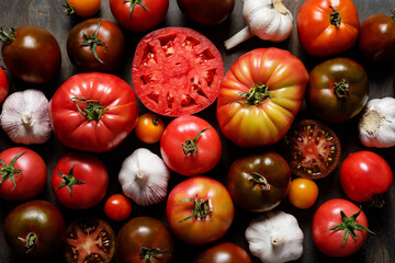 Fresh colorful ripe fall or summer heirloom variety tomatoes on dark wooden background. Local market seasonal produce. Autumn and harvest concept.