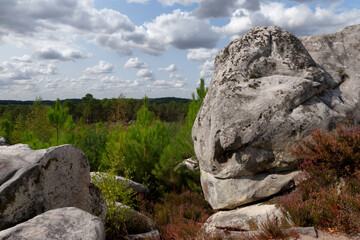 Hiking trail at the Cailleau rock in Fontainebleau forest