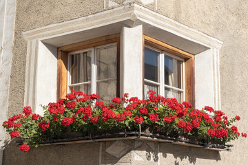 A window of a traditional house in Mustair with plenty of red flowers
