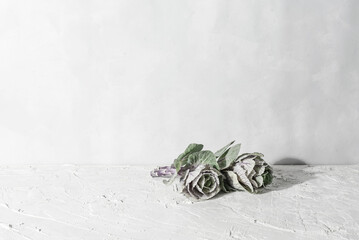 Still life with cabbage flowers