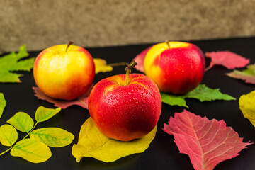 Apples on autumn leaves, on a black background