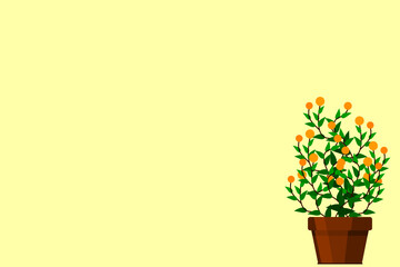Small plant in pot isolated on white background by front view