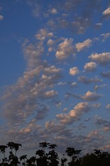 Schäfchenwolken an einem blauen Himmel