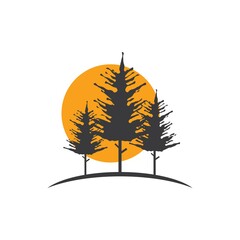 Pine tree