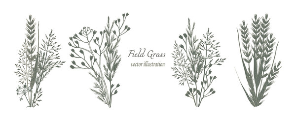 botanical illustration. Beautiful compositions of bouquets of field grass of green and brown shades of flowers. Vector set of elements for your design.