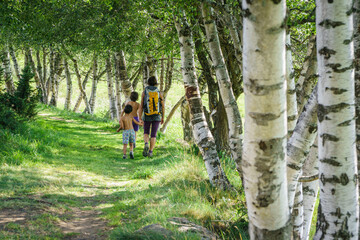 camino entre abedules, sendero arqueologico de Eyne, pirineos catalanes, comarca de Capcir, Francia © Tolo