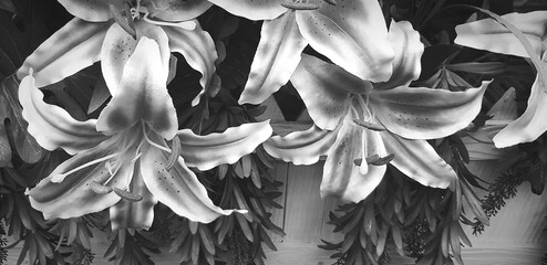 Hibiscus flower with leave hanging and decorated in black and white tone.