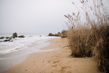 Beach in the morning, Black Sea.