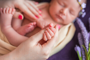 loving mother is caring for her newborn baby at home. Bright portrait of a happy mother, kissing a 2 weeks baby.
