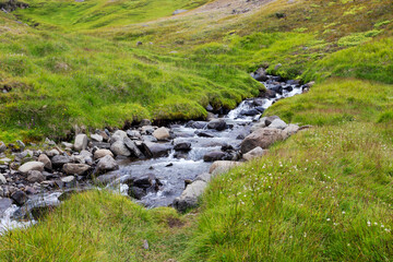 Green valley in Iceland. Green grass, wildflowers and small beautiful river.