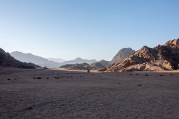 landscape in the desert