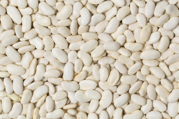 Many white color of haricot beans