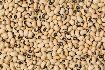 Many mung beans in studio