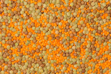 Round lentil heap in studio 