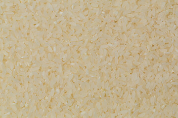 White rice in studio on white