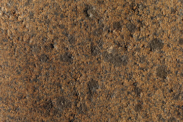 close-up of the texture of the stone by the lake.