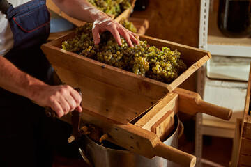Skillful winemaker squeezing juice out of grapes