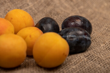 Ripe apricots and juicy black plums on homespun fabric with a rough texture. Close up. Autumn harvest.