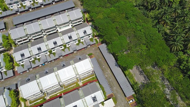 Housing roofs with trees aligned neatly covering the road, revealing a partial street