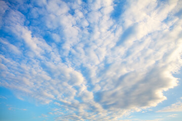 Cirrocumulus clouds in long rows high in the sky