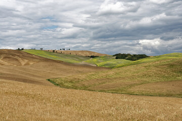 Italien - Toskana - Montalcino - Umland