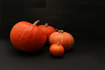 pumpkin on a dark background for halloween