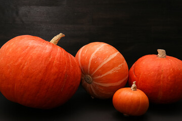 pumpkin on a dark background for halloween