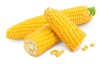 ear of corn isolated on a white background. Clipping path and full depth of field