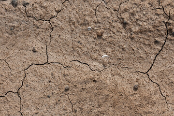 Dried cracked earth soil ground texture background.