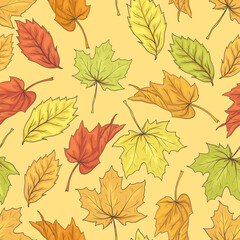 Obraz premium seamless pattern with autumn leaves