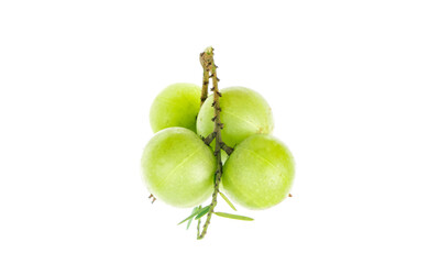 Amla green fruits ,Phyllanthus emblica isolated on white background