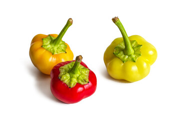 Multicolored hot chili peppers on a white background