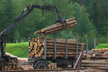Log truck unloads logs at the sawmill