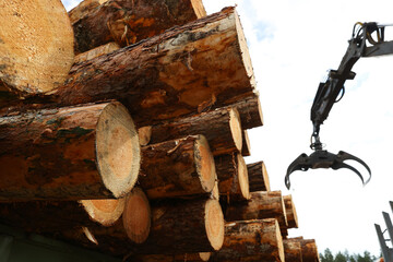 Log truck unloads logs at the sawmill
