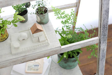 DIYの木の棚とインドアグリーンのイメージ写真