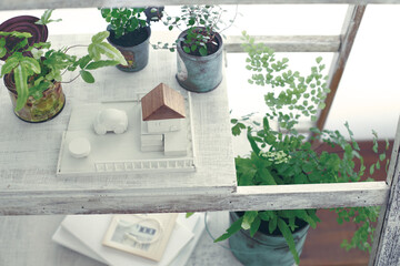 DIYの木の棚とインドアグリーンのイメージ写真