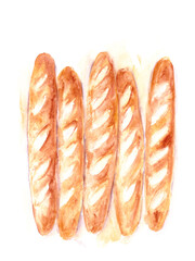 Hand drawn watercolor french baguettes on white background