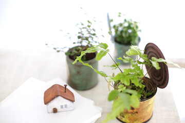 DIYの木の棚とインドアグリーンのイメージ写真