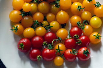 tomatoes, Nacka, Stockholm, Sverige, Sweden