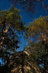 Landscape, Nature, Trees, Rocks and detail