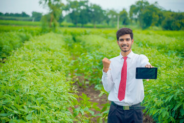 agronomist at green Cotton field and showing tab screen