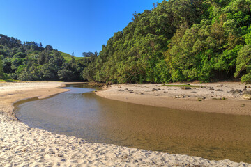 A stream runs out of forested hills and onto a sandy beach. Photographed at Whiritoa on the Coromandel Peninsula, New Zealand