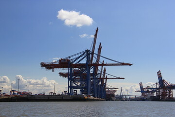Fototapeta na wymiar Kran im Hamburger Hafen