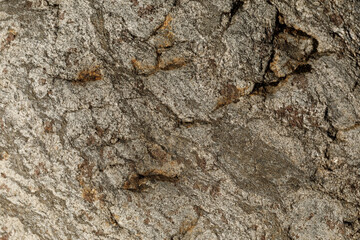 close-up of the texture of the stone by the lake.