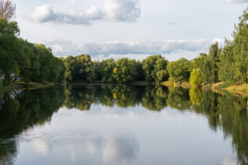 reflection of trees in pond water