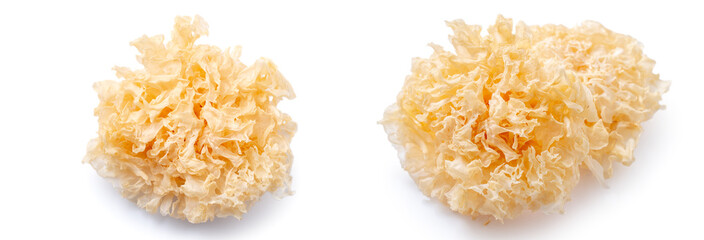 Dried snow fungus, also known as snow ear, white jelly mushroom, silver wood ear fungus isolated on white background, clipping path cut out. © RomixImage