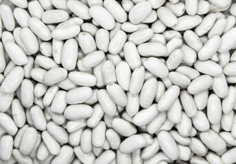 Natural white beans on white background